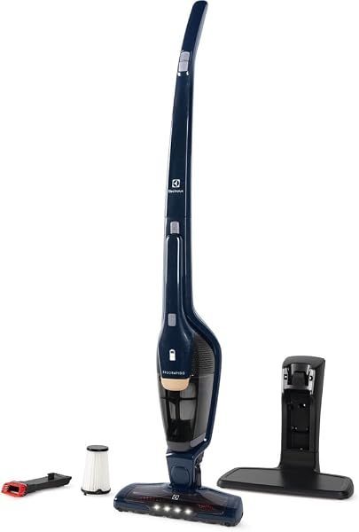 Aspirador Electrolux Ergorapido