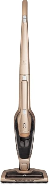 Aspirador Ergorapido Dourado, Electrolux ERG26